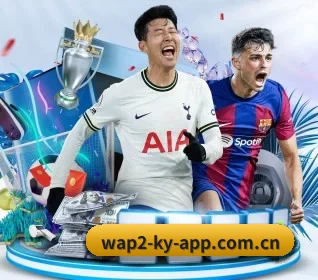 开云官网APP入口 APP 界面
