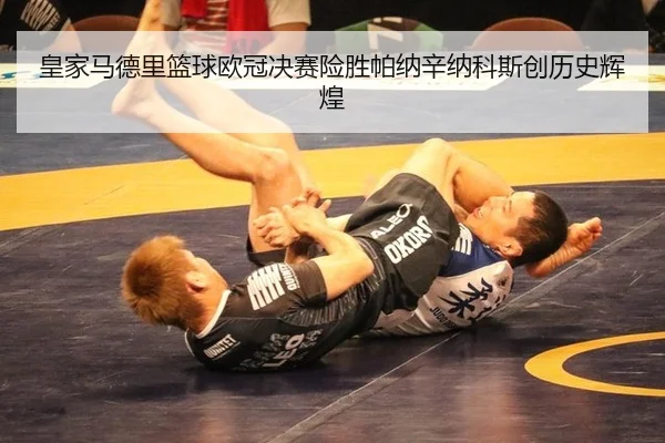 huang-jia-ma-de-li-lan-qiu-ou-guan-jue-sai-xian-sheng-pa-na-xin-na-ke-si-chuang-li-shi-hui-huang-2-417.jpg
