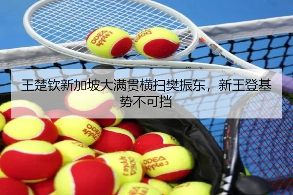 wang-chu-qin-xin-jia-po-da-man-guan-heng-sao-fan-zhen-dong-xin-wang-deng-ji-shi-bu-ke-dang-3-928.jpg