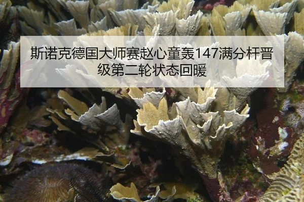 斯诺克德国大师赛赵心童轰147满分杆晋级第二轮状态回暖