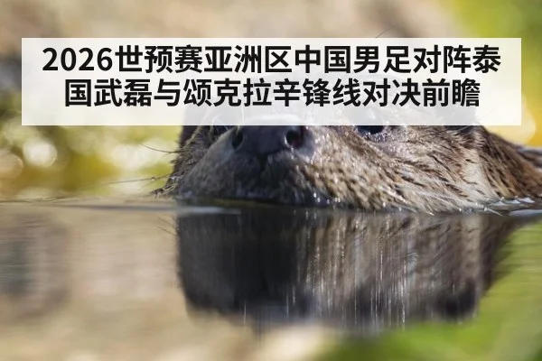 2026世预赛亚洲区中国男足对阵泰国武磊与颂克拉辛锋线对决前瞻